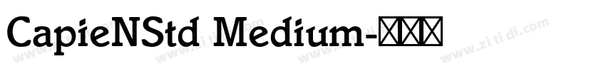 CapieNStd Medium字体转换